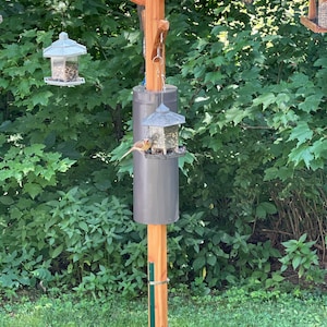 Mark added a photo of their purchase