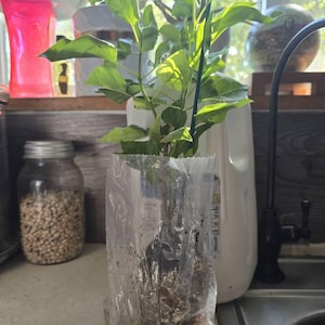 Monique added a photo of their purchase