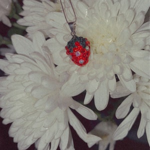 Ashley added a photo of their purchase