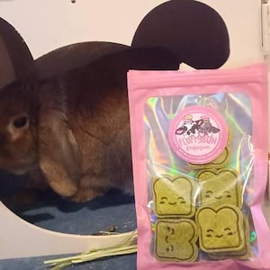 MusicPirateQueen added a photo of their purchase