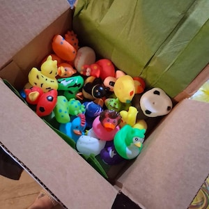 Hannah added a photo of their purchase