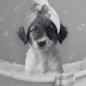 Michelle added a photo of their purchase