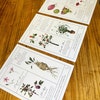 Herbology Chart A5 Print Set Parts 1, 2 &amp; 3 - Etsy