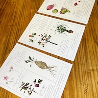 Herbology Chart A5 Print Set Parts 1 2 &amp; 3 - Etsy Australia