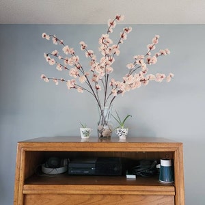 Shelly added a photo of their purchase