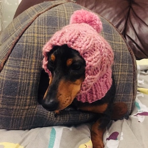 Clare added a photo of their purchase