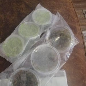 Christian added a photo of their purchase
