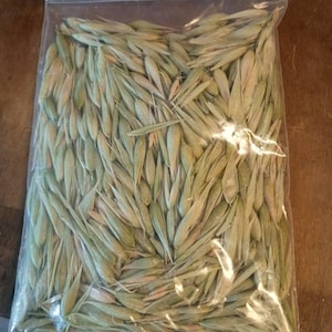 Sindia added a photo of their purchase