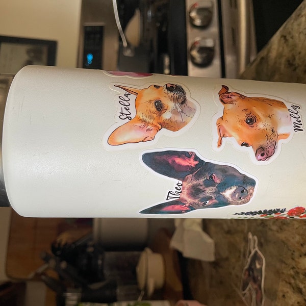 Pet photo christmas card