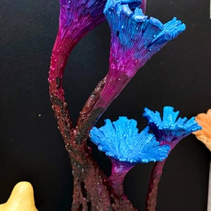 Jessica ha aggiunto una foto del proprio acquisto