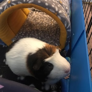 Patty added a photo of their purchase