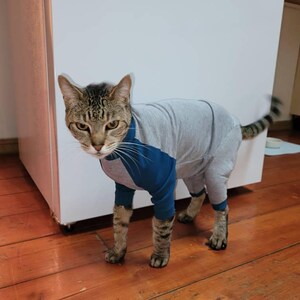 ROZKITCH Katzenkleidung Für Haarlose Katzen - Atmungsaktiv, Weicher Einteiler, Größen XS-2XL