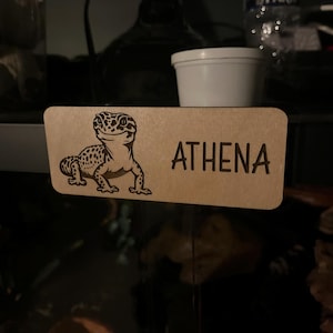 Alexa added a photo of their purchase