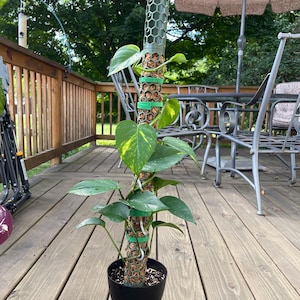 Christina added a photo of their purchase