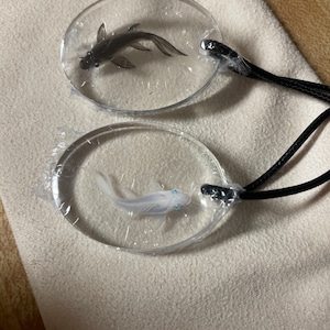 Colleen added a photo of their purchase