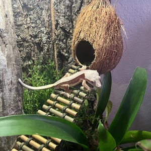 Sarah added a photo of their purchase