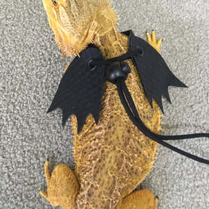 Joliezac added a photo of their purchase