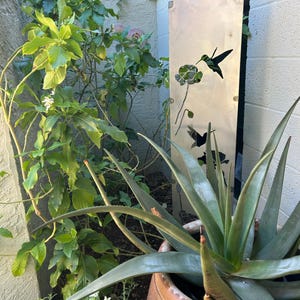 Patricia added a photo of their purchase