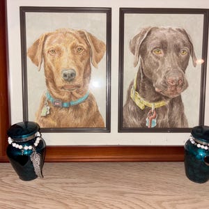 Rachel added a photo of their purchase