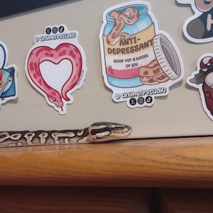 Audrey hat ein Foto des gekauften Artikels hinzugefügt