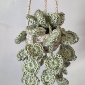 Jackie added a photo of their purchase