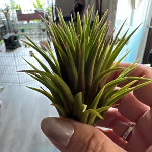Mindy added a photo of their purchase