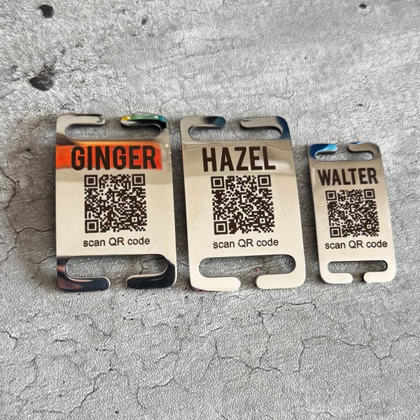 Low Profile, Low Visability Personalized Acrylic Luggage Tag, Acrylic ...