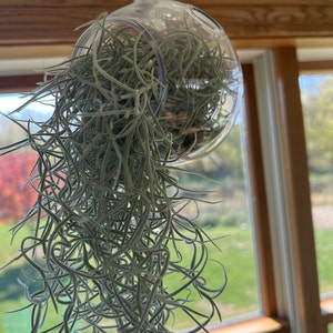 Jeralee heeft een foto van zijn/haar aankoop toegevoegd