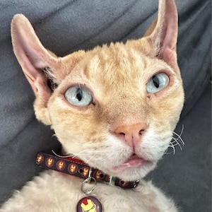 Millie ha aggiunto una foto del proprio acquisto
