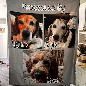 Beth added a photo of their purchase