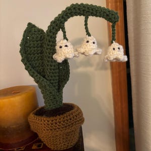 Matthew added a photo of their purchase