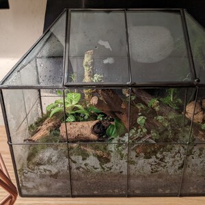 Joe added a photo of their purchase