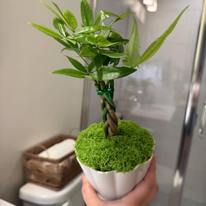 Naomi added a photo of their purchase