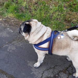 Silke added a photo of their purchase