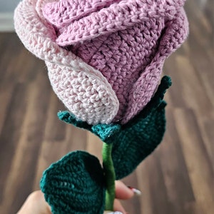 Kim added a photo of their purchase