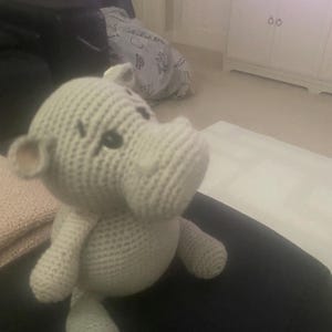 Sarah added a photo of their purchase