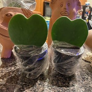 tara added a photo of their purchase