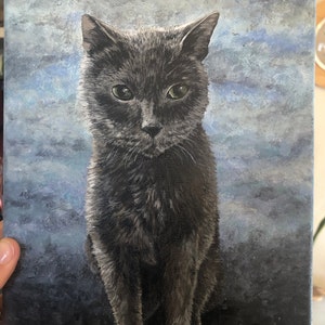 Elizabeth added a photo of their purchase