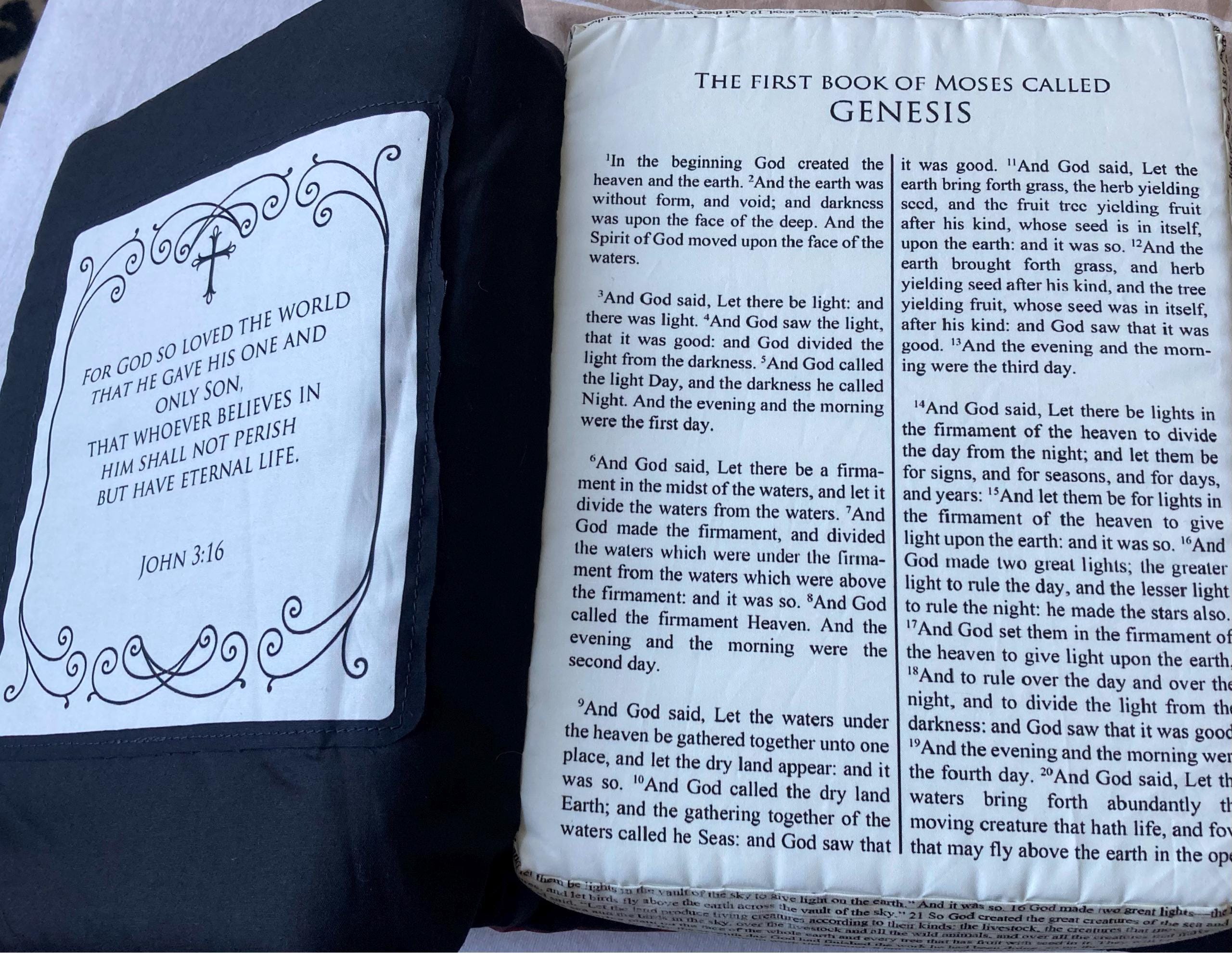Holy Bible Pillow Book