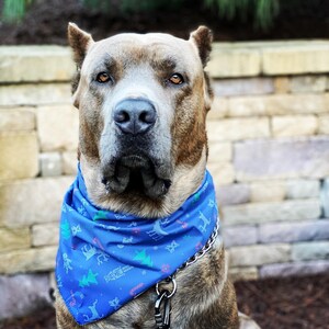 Kimberly added a photo of their purchase