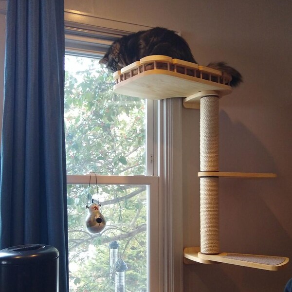 Cat Window Perch, Cat Shelves, Cat Wall Furniture / Shelf Location on ...