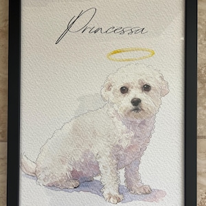 Maria heeft een foto van de aankoop toegevoegd
