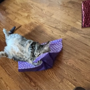 Andrea added a photo of their purchase