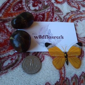 Michelle added a photo of their purchase