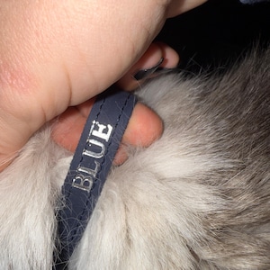 Megan added a photo of their purchase