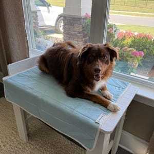Natalie added a photo of their purchase