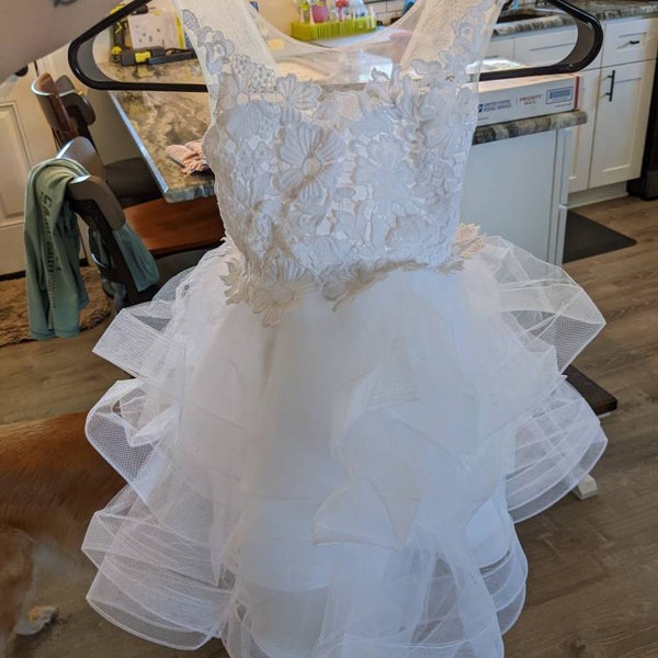 Cupcake Fuchsia Lace Tulle Wedding Flower Girl Dress, Horsehair main image 0