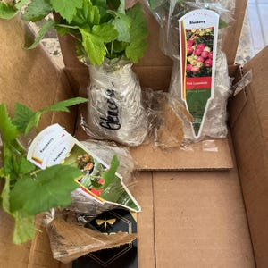 Victoria added a photo of their purchase