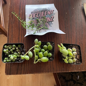 Kathryn added a photo of their purchase