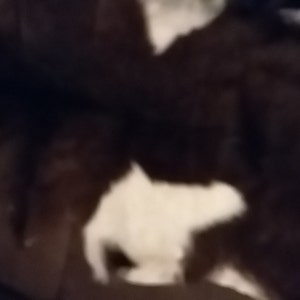 Carsten heeft een foto van de aankoop toegevoegd